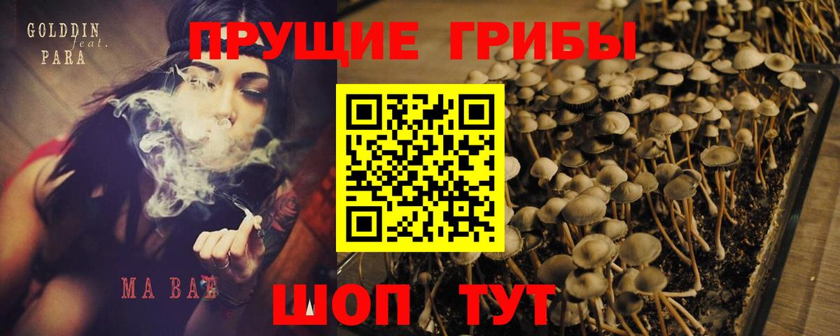 Галлюциногенные грибы GOLDEN TEACHER  Вход с VPN  Кувандык 